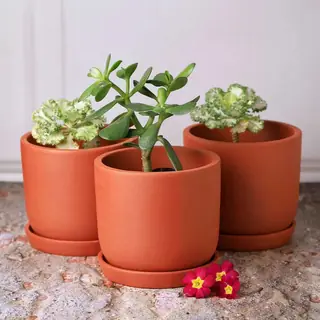 Terracotta Flower Pot