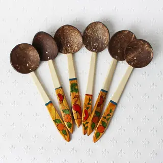 Coconut Shell Spoon