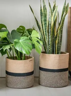Jute Planter