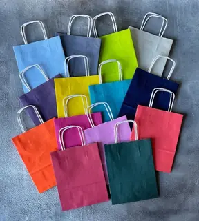 Kraft Paper Shopping Bag (Twisted Handle)