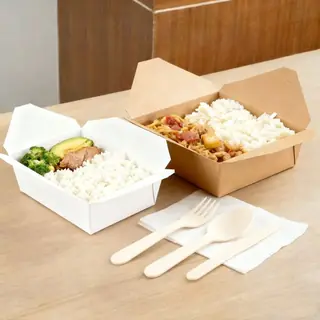 Disposable Lunch Box