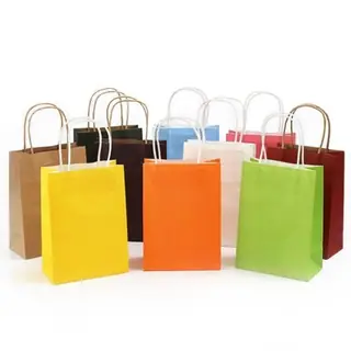 Paper Carry Bag