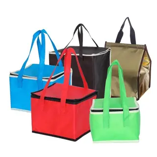 Non-Woven Cooler Bag