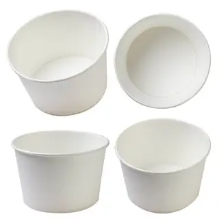 One Time Paper Bowl