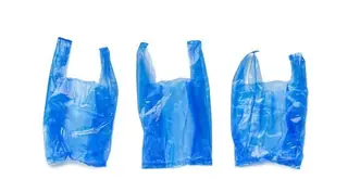 Polythene Bag – Medium