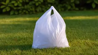 Polythene Bag – Large