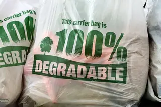 Biodegradable Plastic Bag (Large)